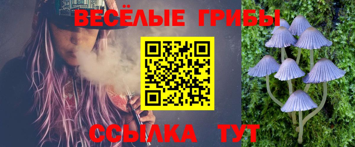 Галлюциногенные грибы Magic Shrooms  Галлюциногенные грибы мухоморы  Вход с VPN  Десногорск 